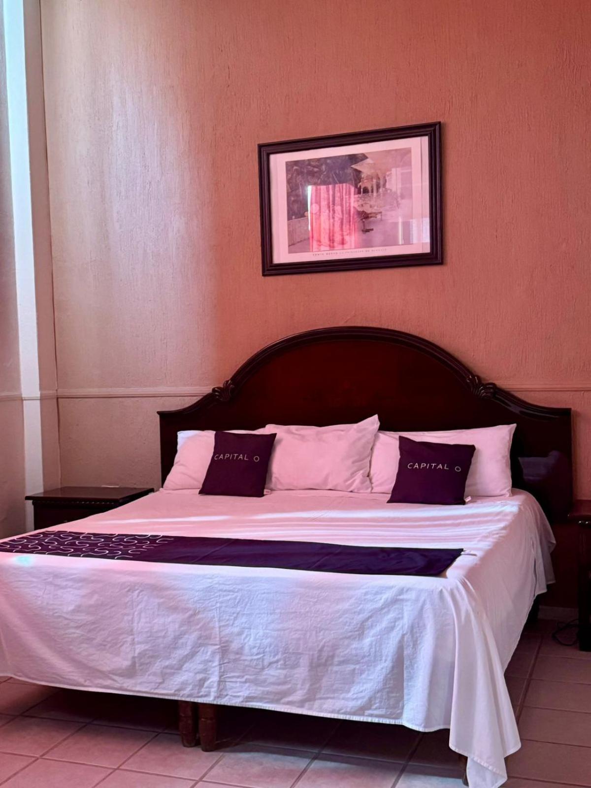 Hotel Marney אגואסקליינטס מראה חיצוני תמונה