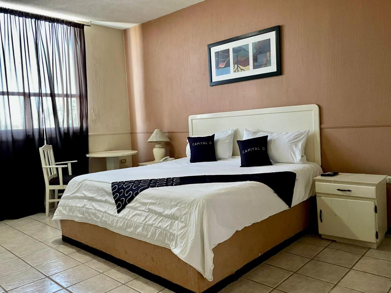 Hotel Marney אגואסקליינטס מראה חיצוני תמונה