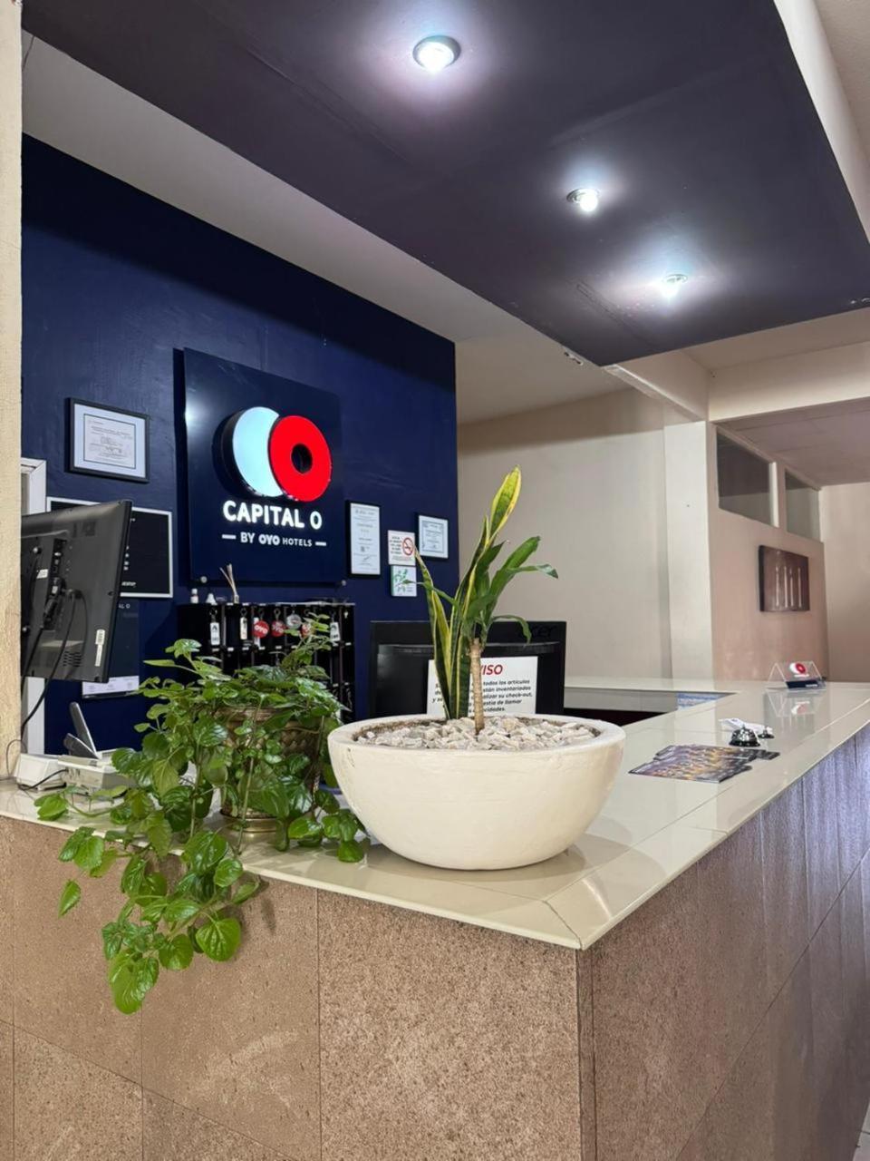 Hotel Marney אגואסקליינטס מראה חיצוני תמונה