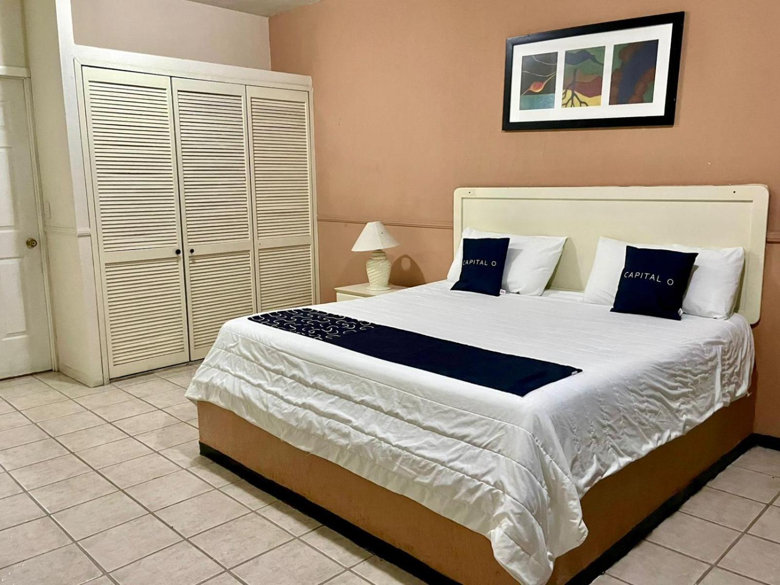 Hotel Marney אגואסקליינטס מראה חיצוני תמונה